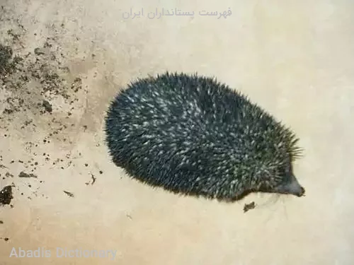 فهرست پستانداران ایران